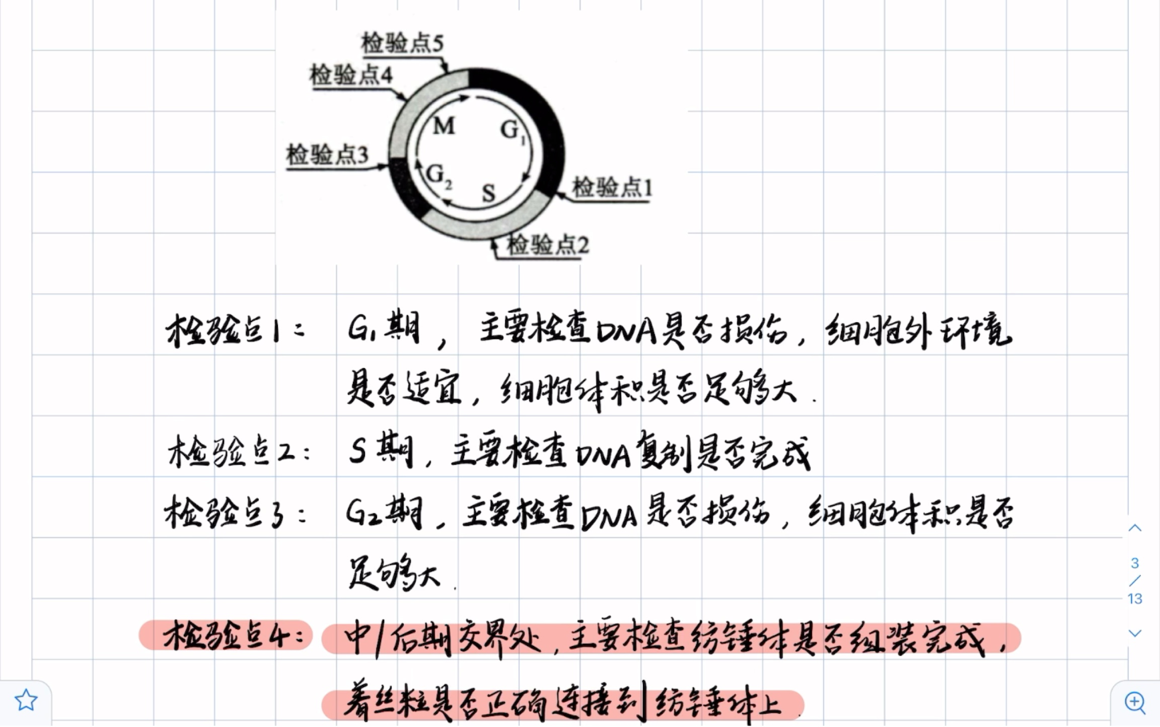 高中生物一轮复习:细胞周期专题.关于细胞周期的调控你都了解了吗?细胞周期同步化你掌握了吗?哔哩哔哩bilibili