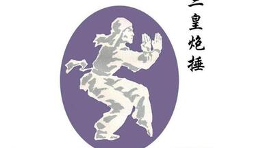 名家名拳】三皇炮捶拳教学系列——张汉文_哔哩哔哩_bilibili