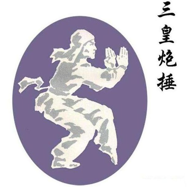 三皇炮捶拳散打技法_哔哩哔哩_bilibili