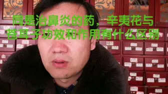 Tải video: 同是治鼻炎的药，辛夷花与苍耳子功效和作用有什么区别