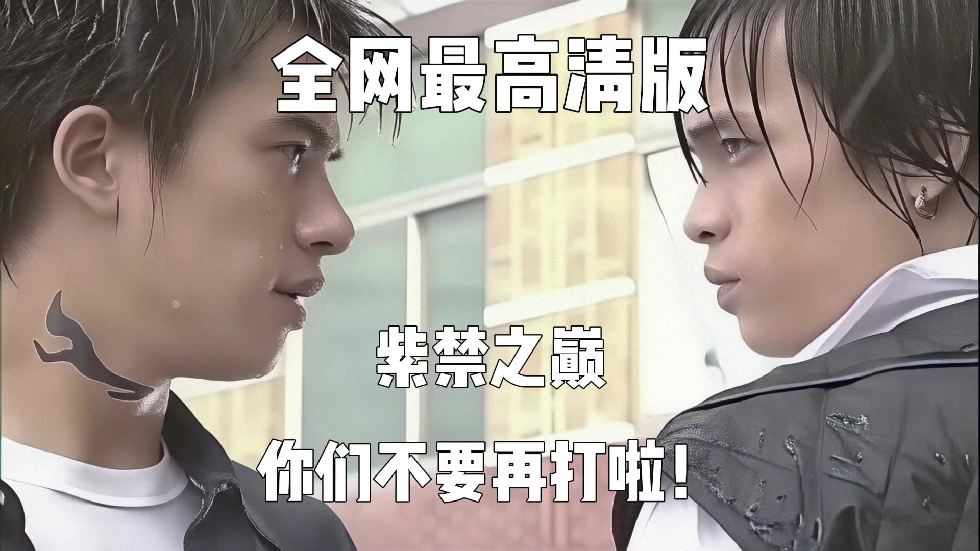 住手,你们不要再打了啦!全网最高清版本