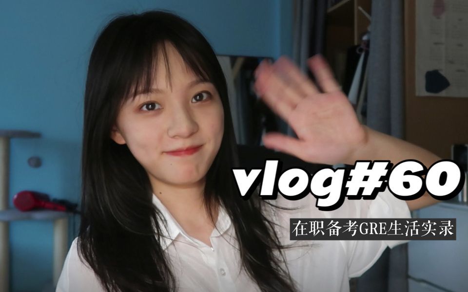 vlog#60 | 在职备考人生活实录:我的心中只有一件事情 那就是学习 | 周末去省图 不定期越洋视频 新购入软绵抱枕!哔哩哔哩bilibili