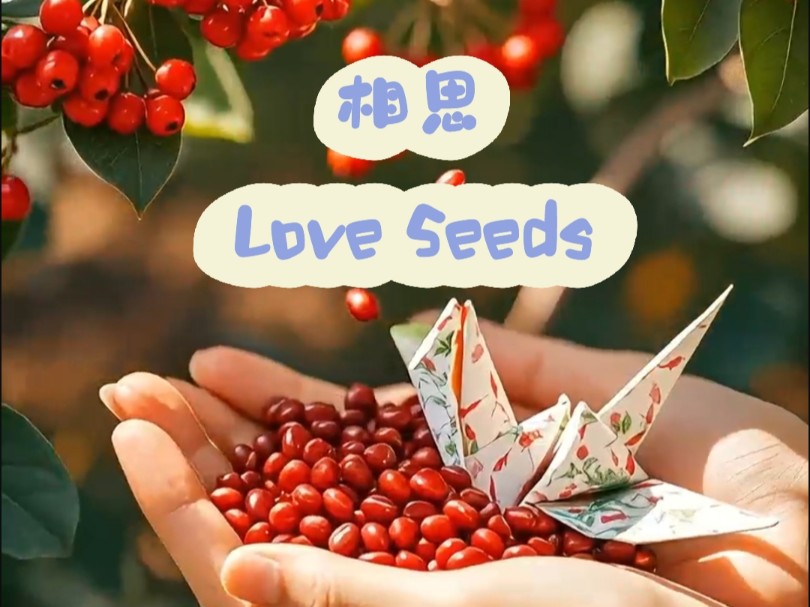 双语古诗《相思》 Love Seeds 红豆生南国,春来发几枝,愿君多采撷,此物最相思.哔哩哔哩bilibili