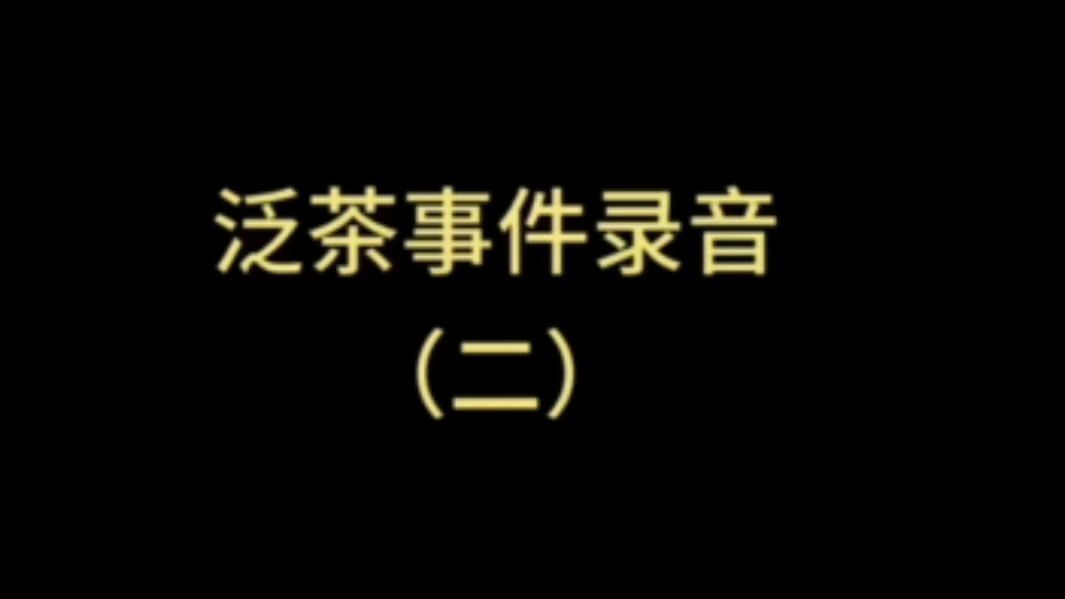 内部录音(二)#泛茶 #泛茶最新消息 #庞氏骗局#郑海华哔哩哔哩bilibili