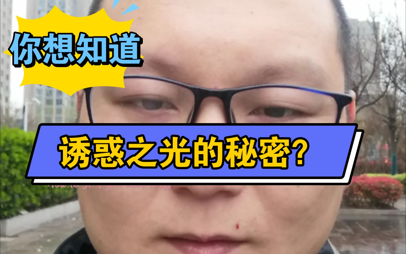 诱惑之光的成功因素是什么?想知道?哔哩哔哩bilibili