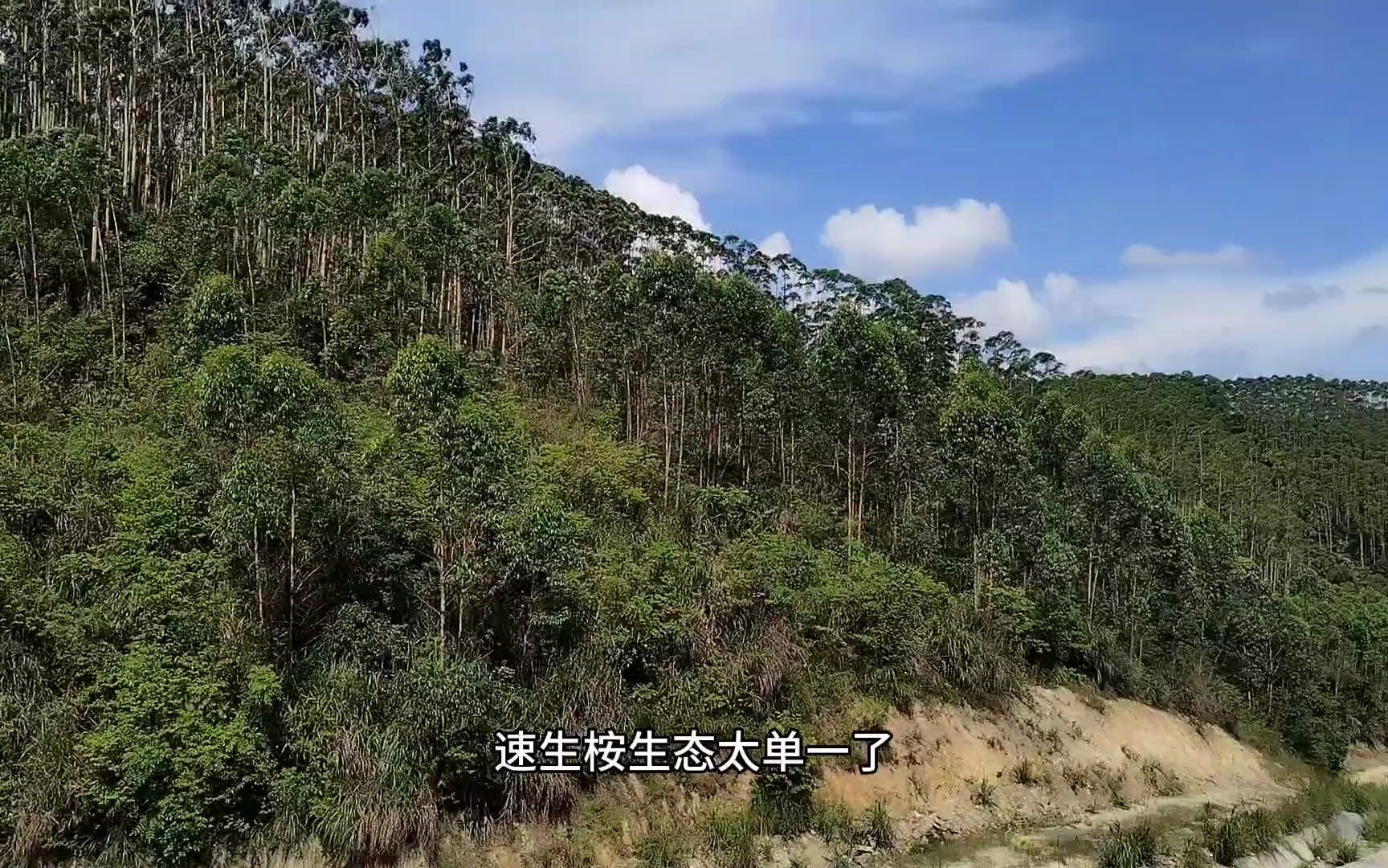 [图]二叔说事：实施乡村振兴，必须贯彻落实好绿水青山就是金山银山的发展理念。