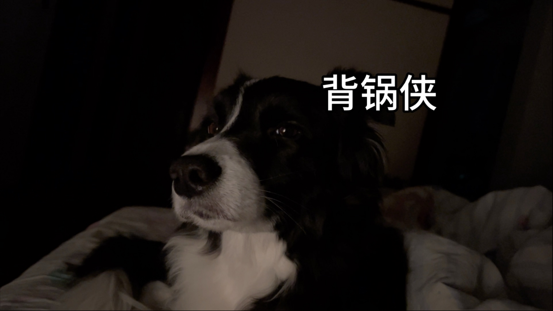 我不应该在此刻醒来