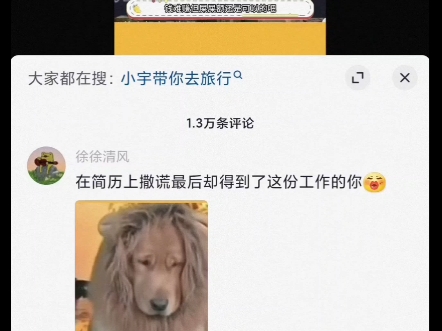 狮子原来是犬科哔哩哔哩bilibili