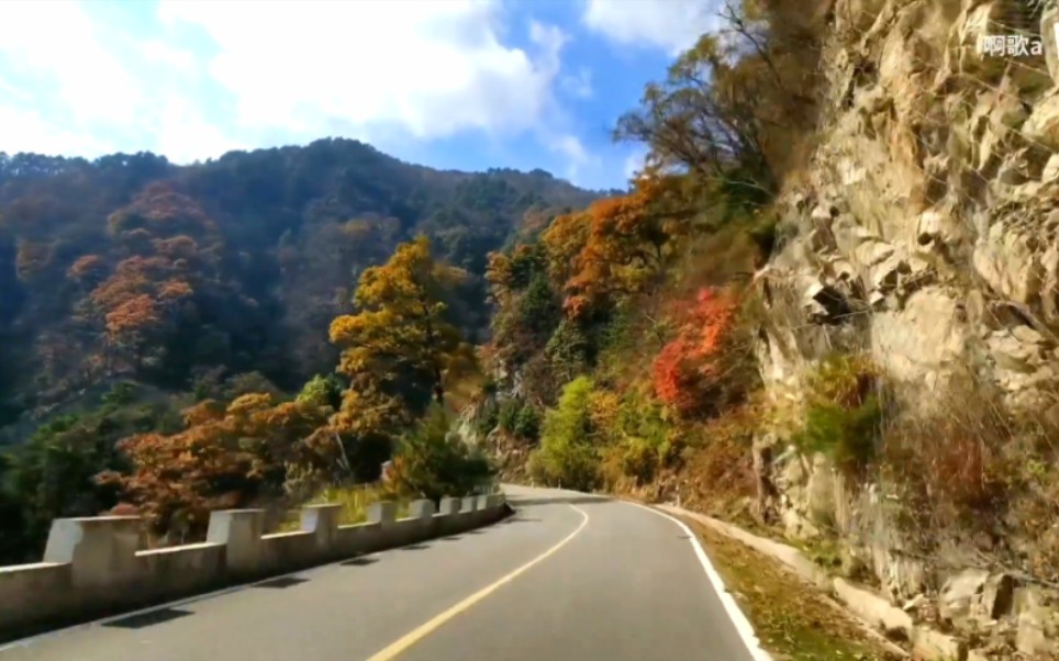 [图]安徽六安这条山路真棒，是自驾摩旅者们的挚爱（金寨马鬃岭下行路段：迎客松至古银杏～完整版）