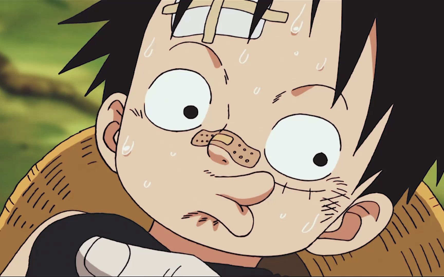 海贼王里的帅哥