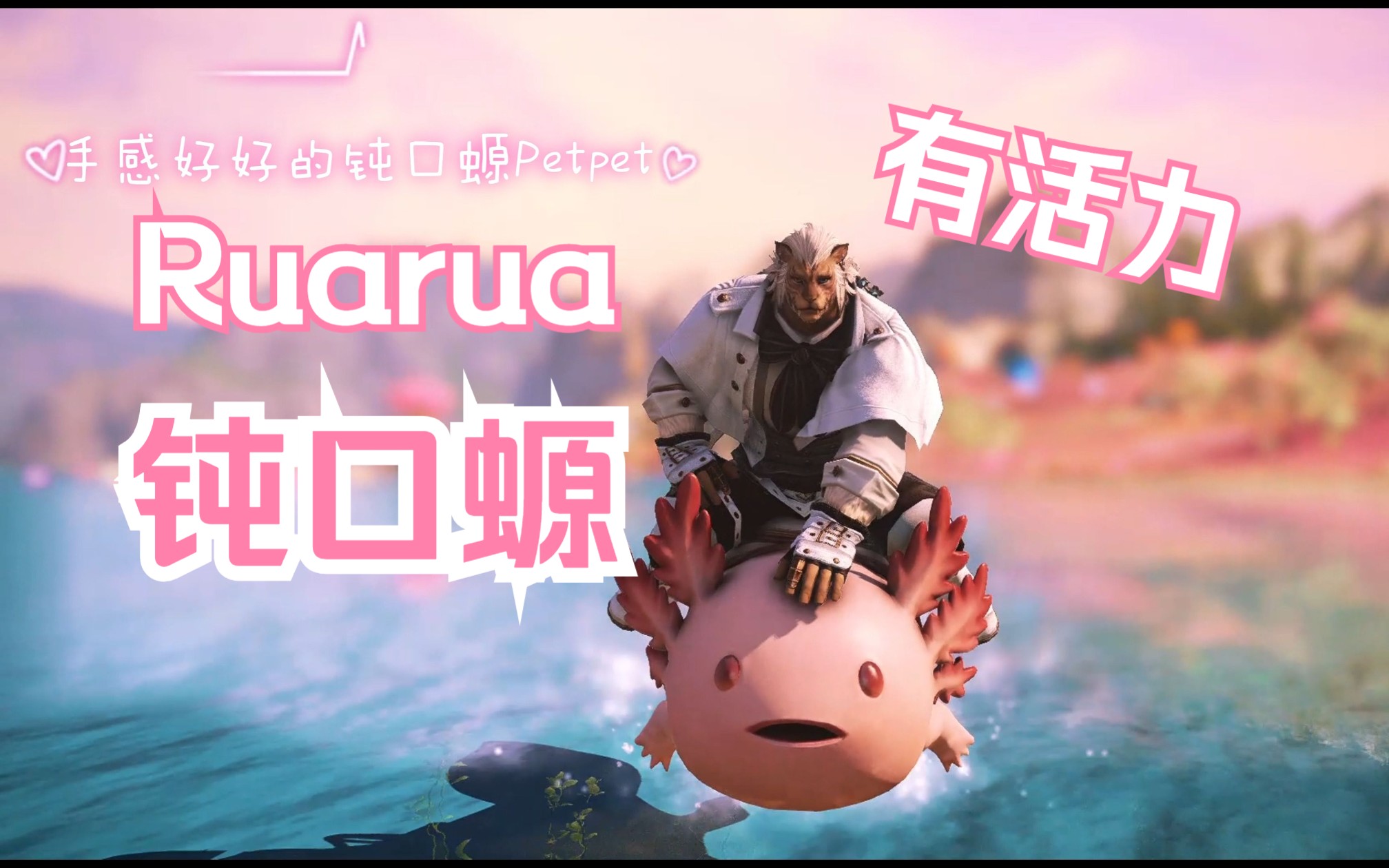 【FF14】Ruarua有活力的钝口螈,摸摸头手感好FFXIV