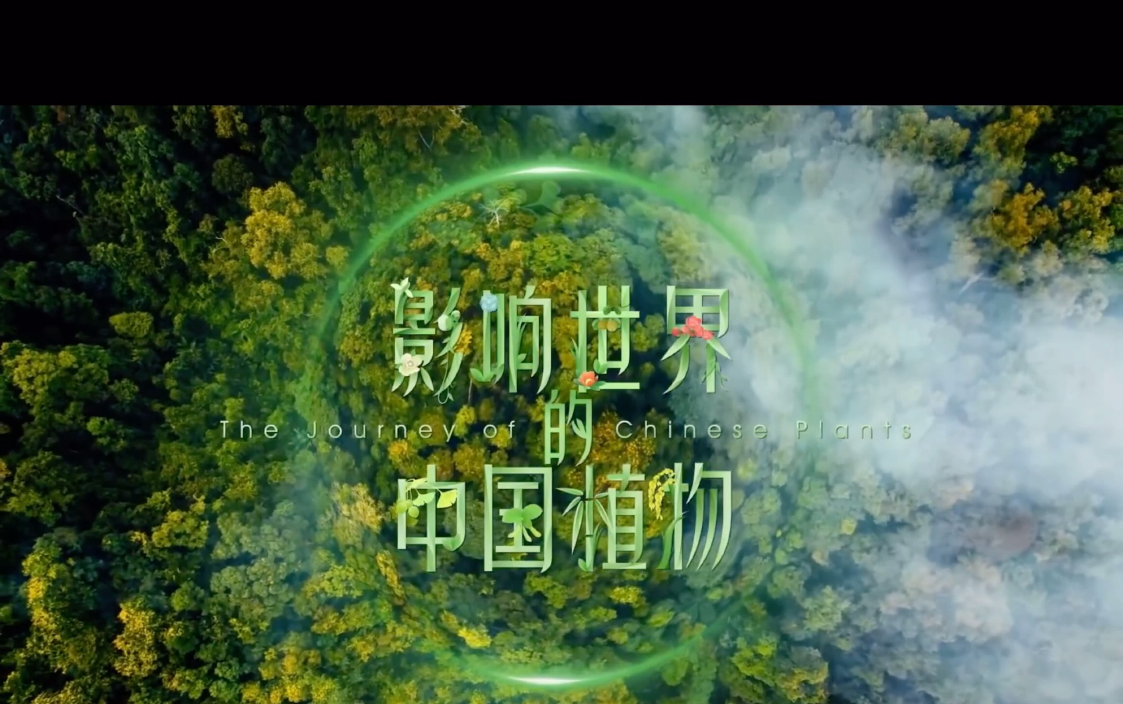 影响世界的中国植物「第一集」