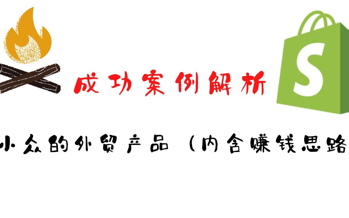 你不得不服的外贸小众产品(内含赚钱思路)|成功案例解析哔哩哔哩bilibili