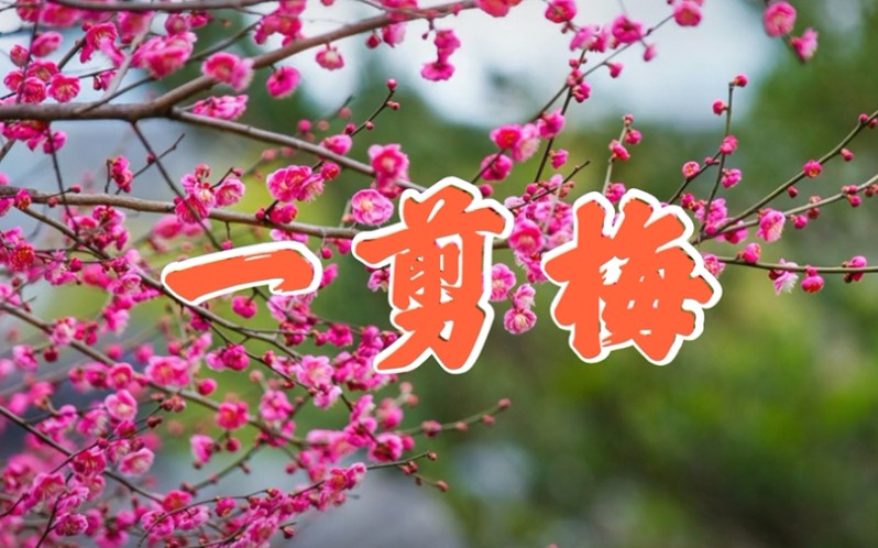 经典歌曲《一剪梅》