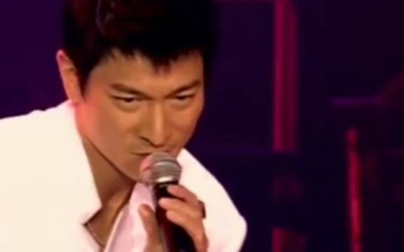 刘德华演唱会2002图片