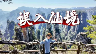 外国人到底有多爱张家界？这就是中国顶级景区的含金量