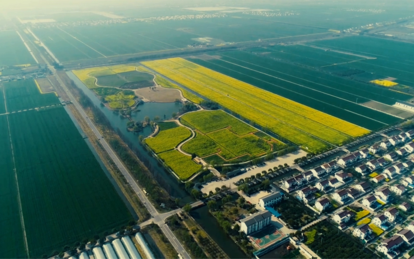 春意正在酝酿,待到3月,张家港常阴沙花海就要绽放她的魅力了.