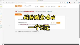 问卷调查项目介绍每天20元