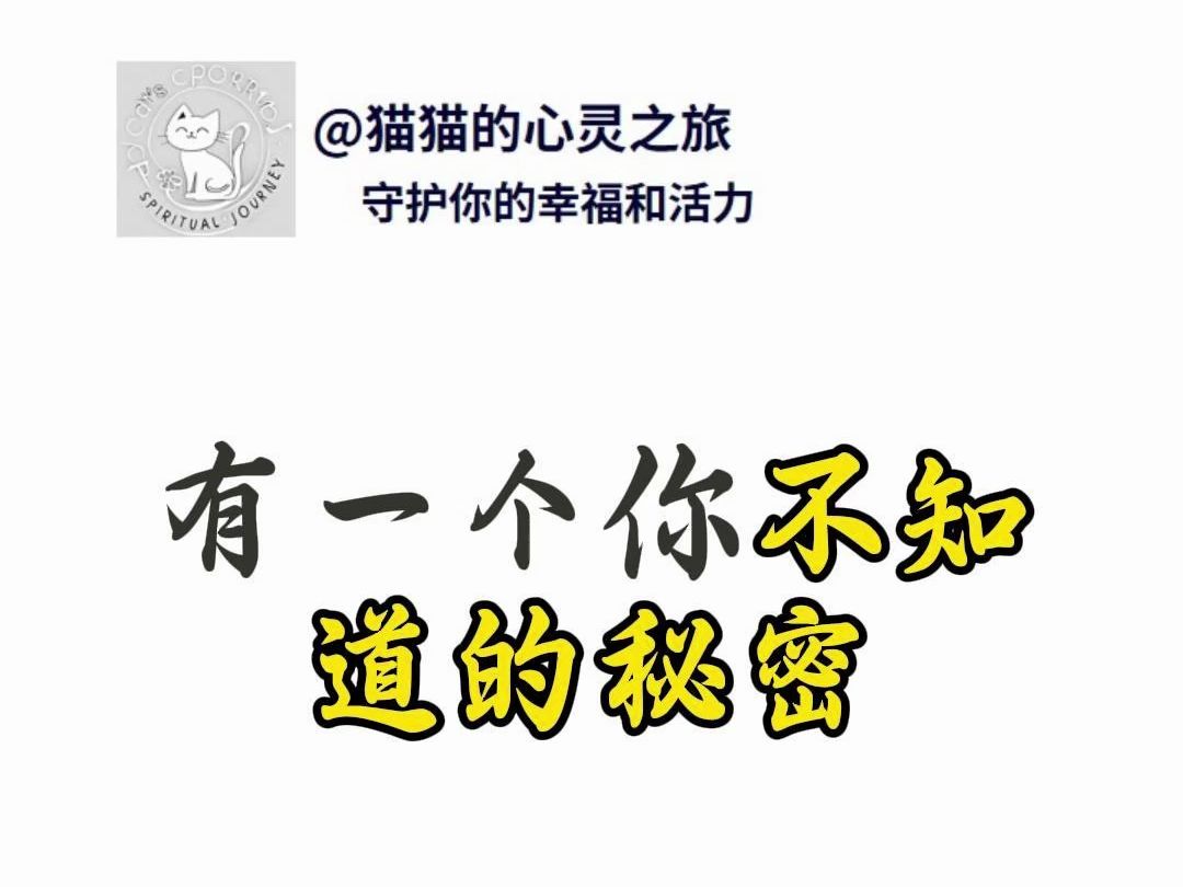 92159215一个朋友和爱人的秘密