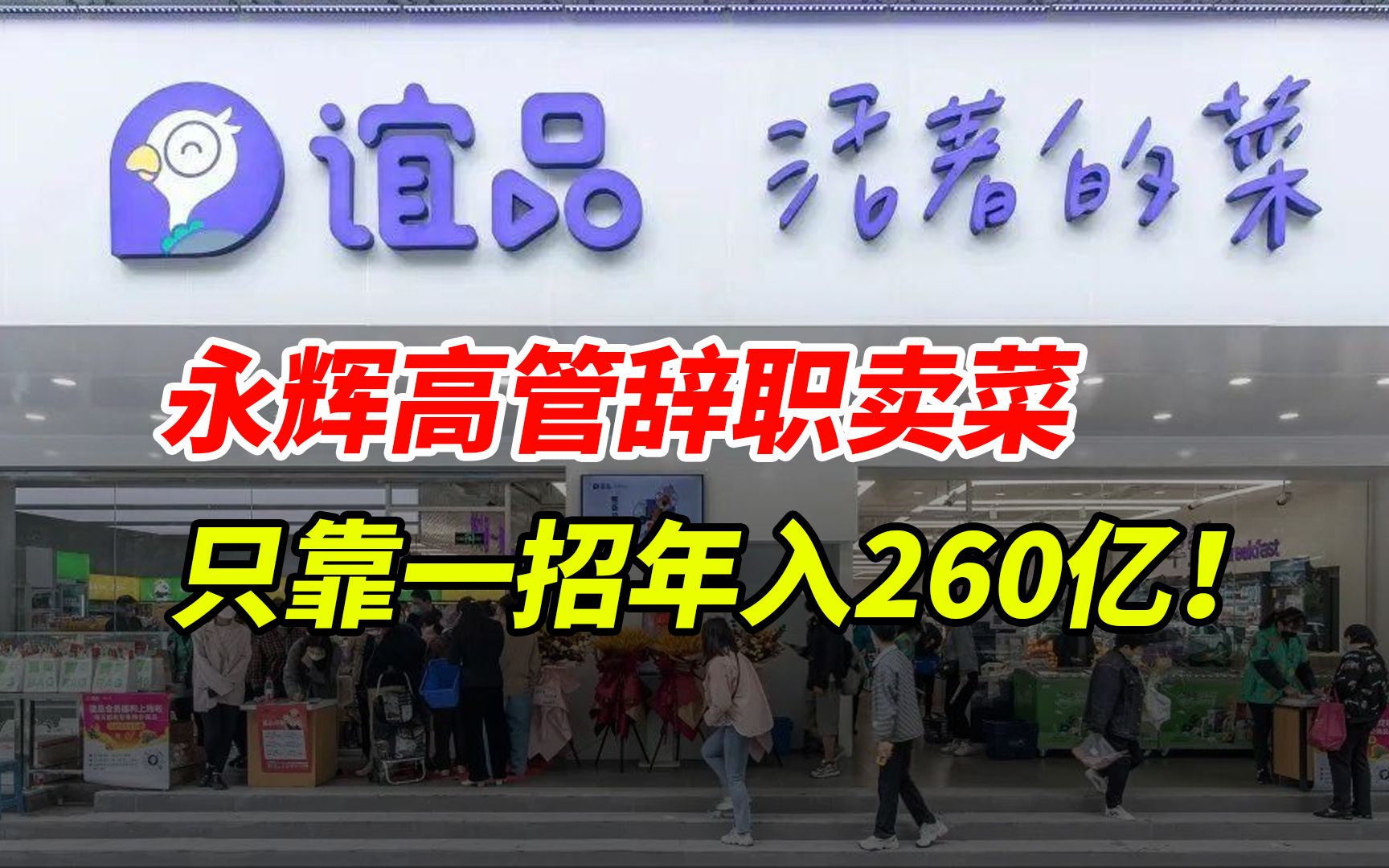 精彩!永辉高管辞职卖菜,照抄老东家的模式,3年狂开1500家店,年入260亿!怎么做到的?哔哩哔哩bilibili