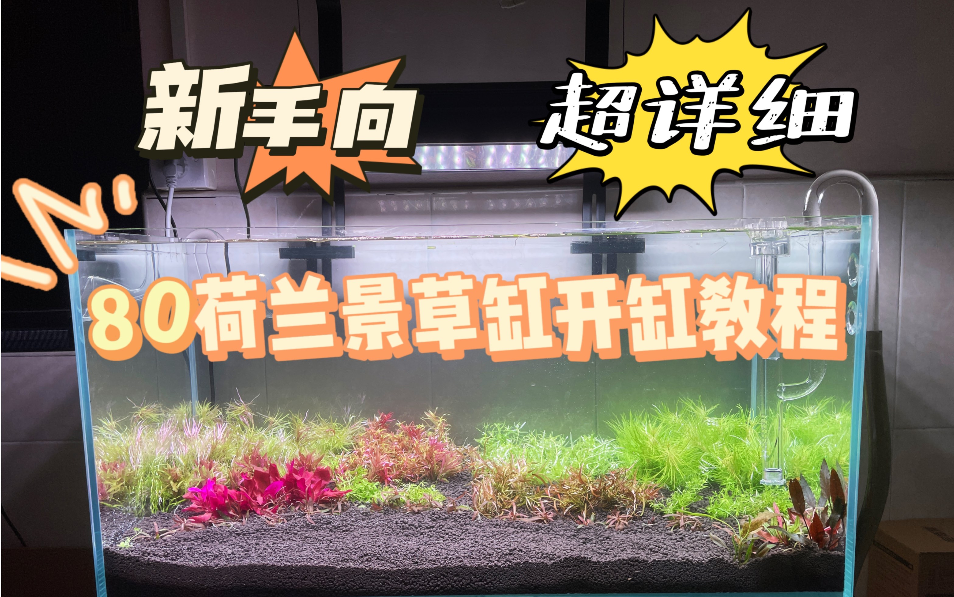 草缸开缸|新手向!超详细荷兰景开缸教程!哔哩哔哩bilibili