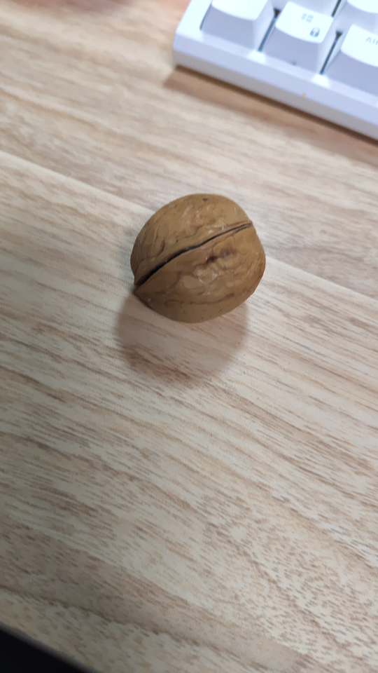 阿黑skifob卡侧背根skfov*