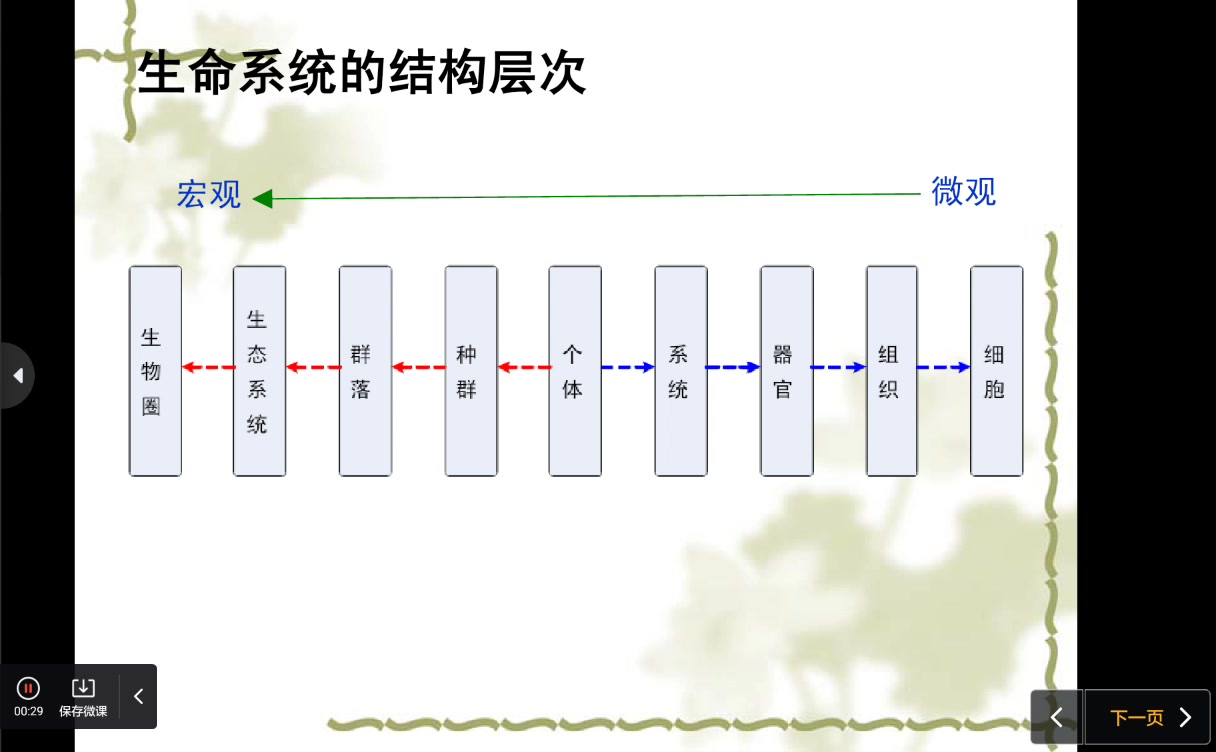 【高中生物必修三】群落的结构(不看别后悔)哔哩哔哩bilibili