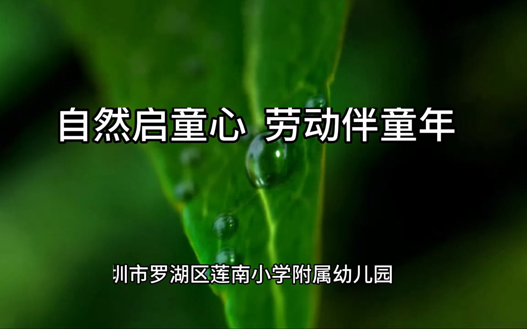 深圳市罗湖区莲南小学附属幼儿园劳动教育视频哔哩哔哩bilibili