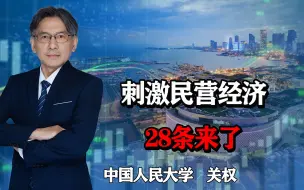 Download Video: 促进民营经济发展的28条来了，条条都是干货，中国经济两条腿走路