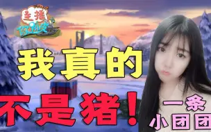 Download Video: 一条小团团落泪控诉：每天都要解释自己不是猪，真的受不了！