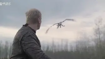 小伙子你这样说会找不到对象滴罗宾汉超越舍伍德森林