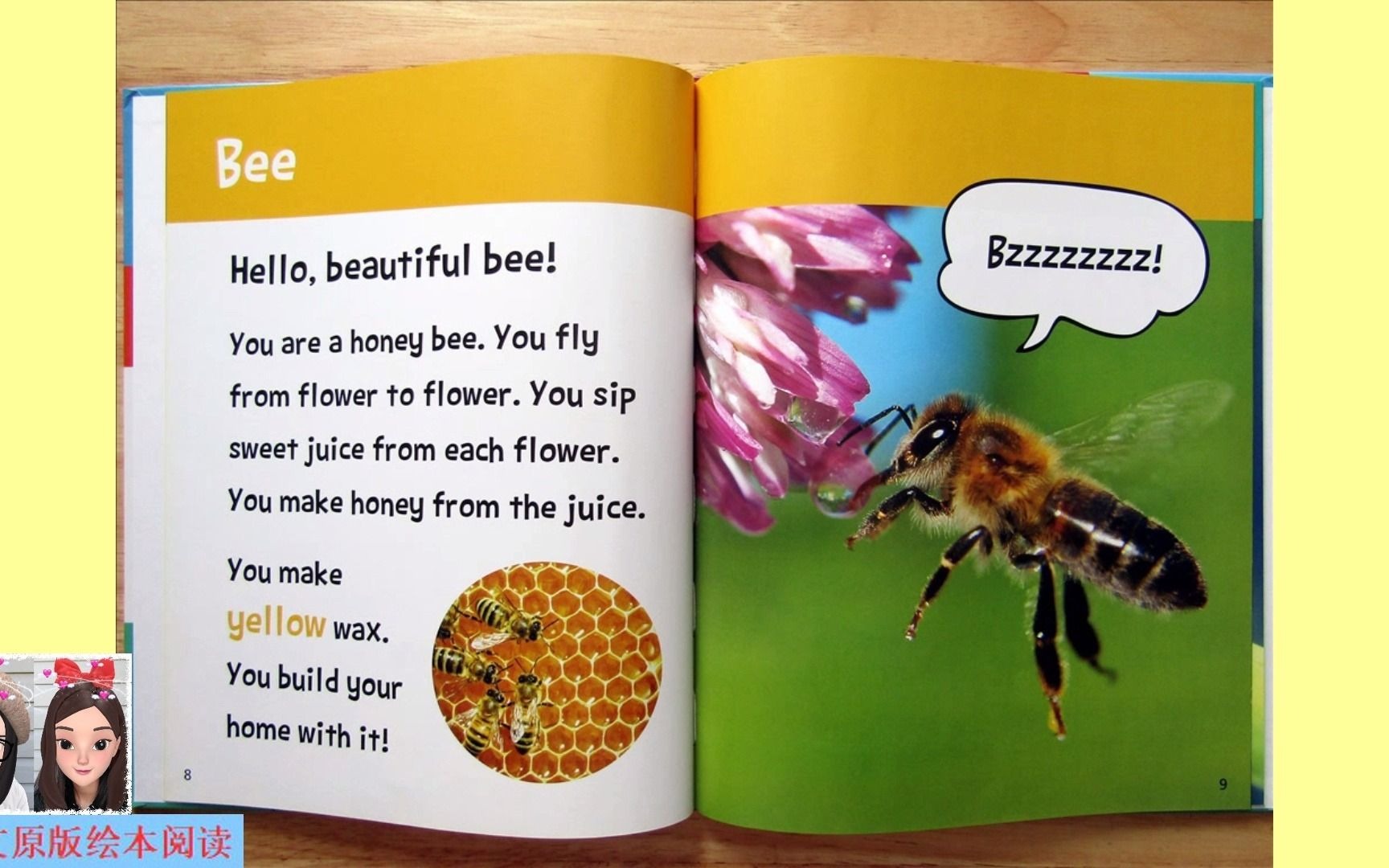 【英文绘本阅读】Hello, Beautiful! Sixlegged Animals: bee 《你好,美丽!六条腿的动物》之蜜蜂哔哩哔哩bilibili