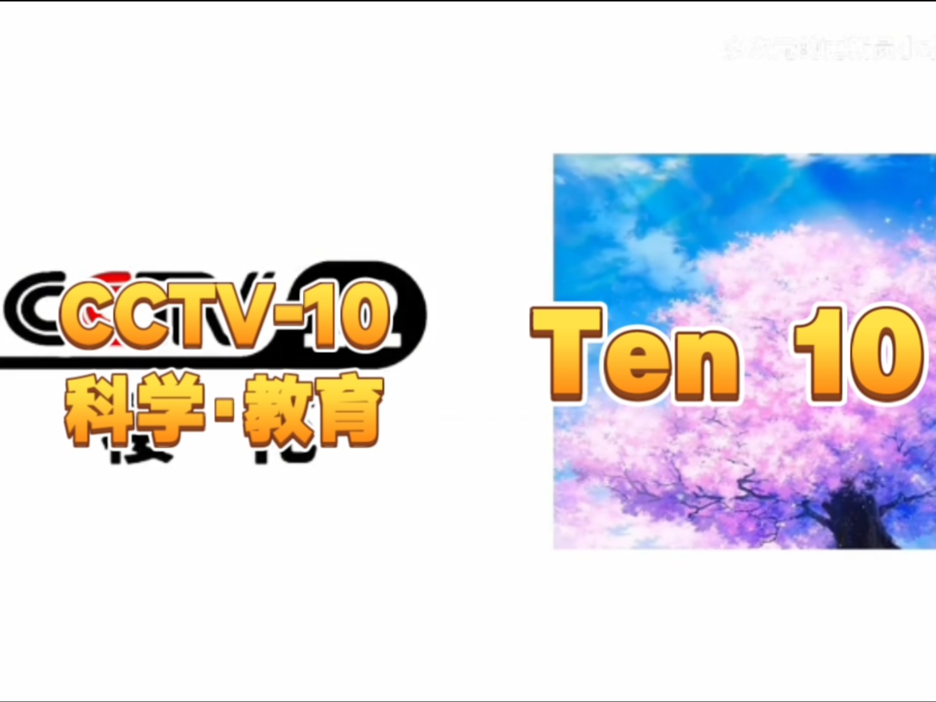 放送文化2009cctv10广告图片