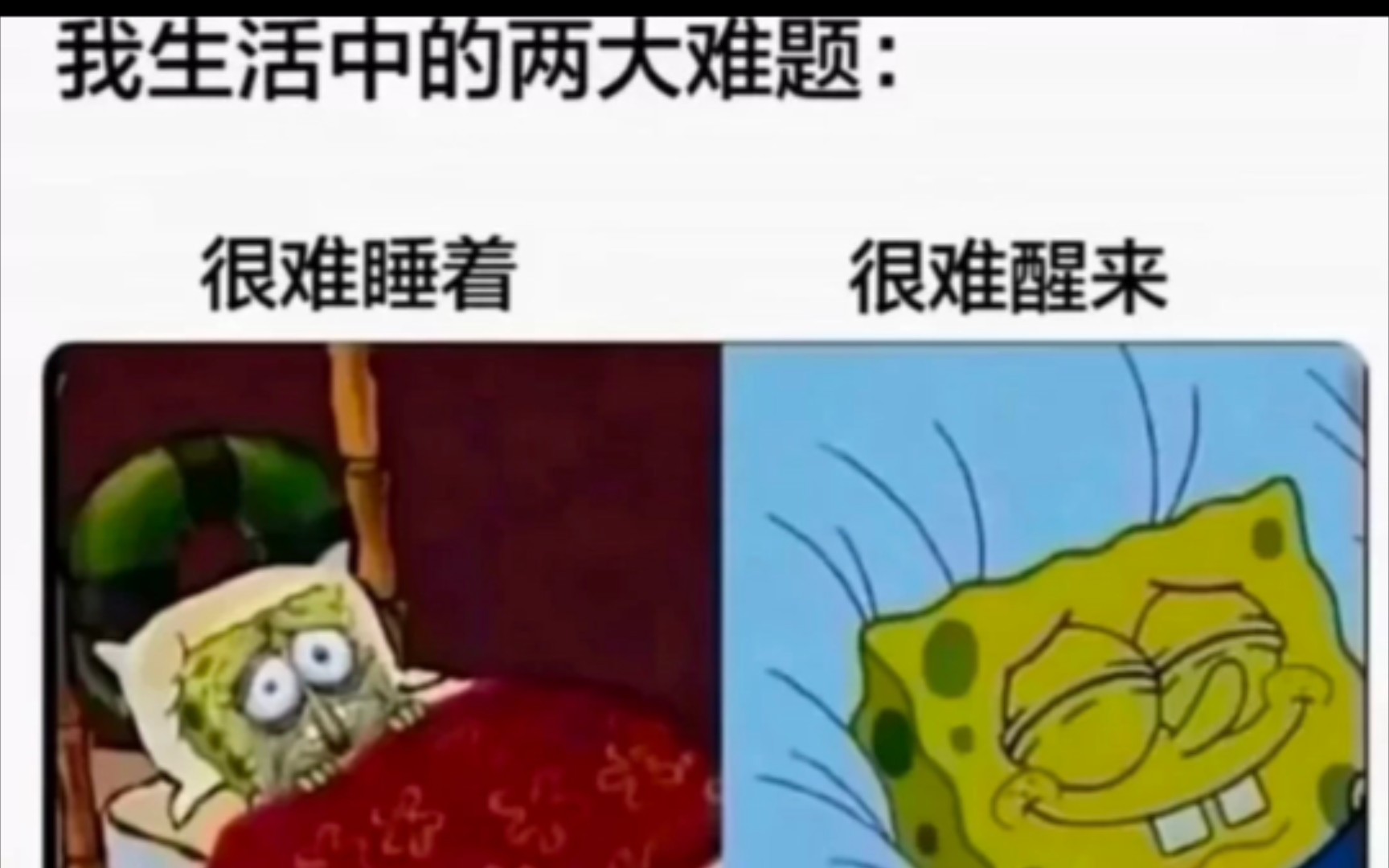 网络上的爆笑吊图《8》哔哩哔哩bilibili