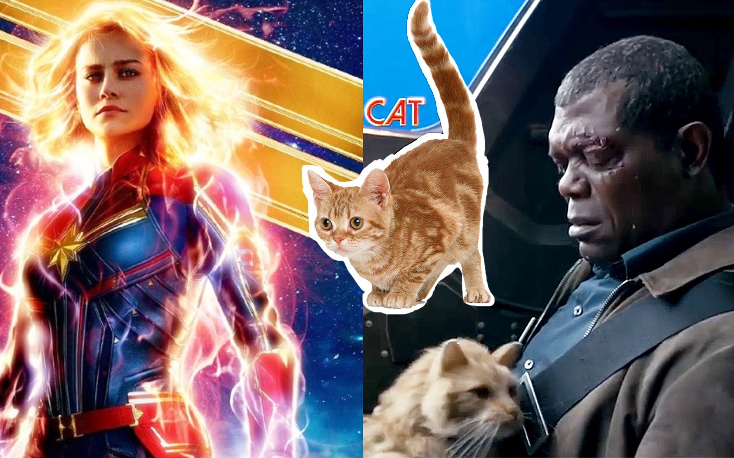 《惊奇队长》笑场删减镜头惊现真猫奴?片场撸猫上演反差萌