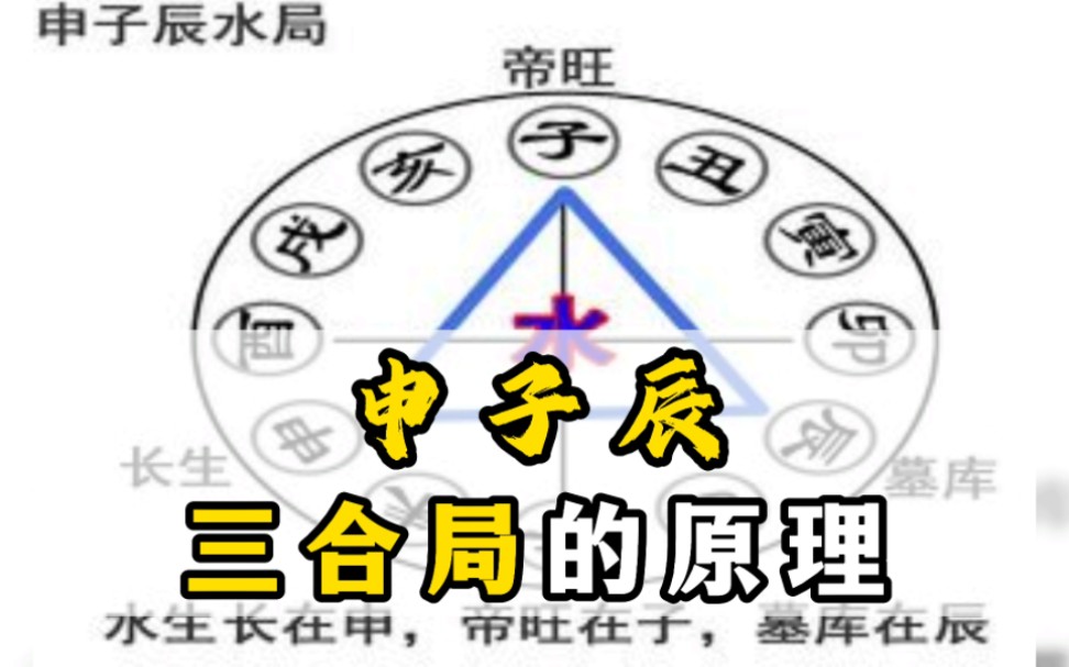 申子辰三合局的原理,猴鼠龙为什么合?——连山易传人博尔朵哔哩哔哩bilibili