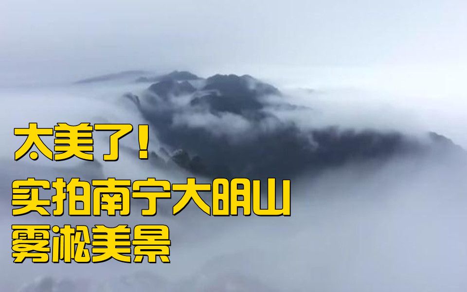 戳视频看美景!实拍南宁大明山雾凇美景哔哩哔哩bilibili