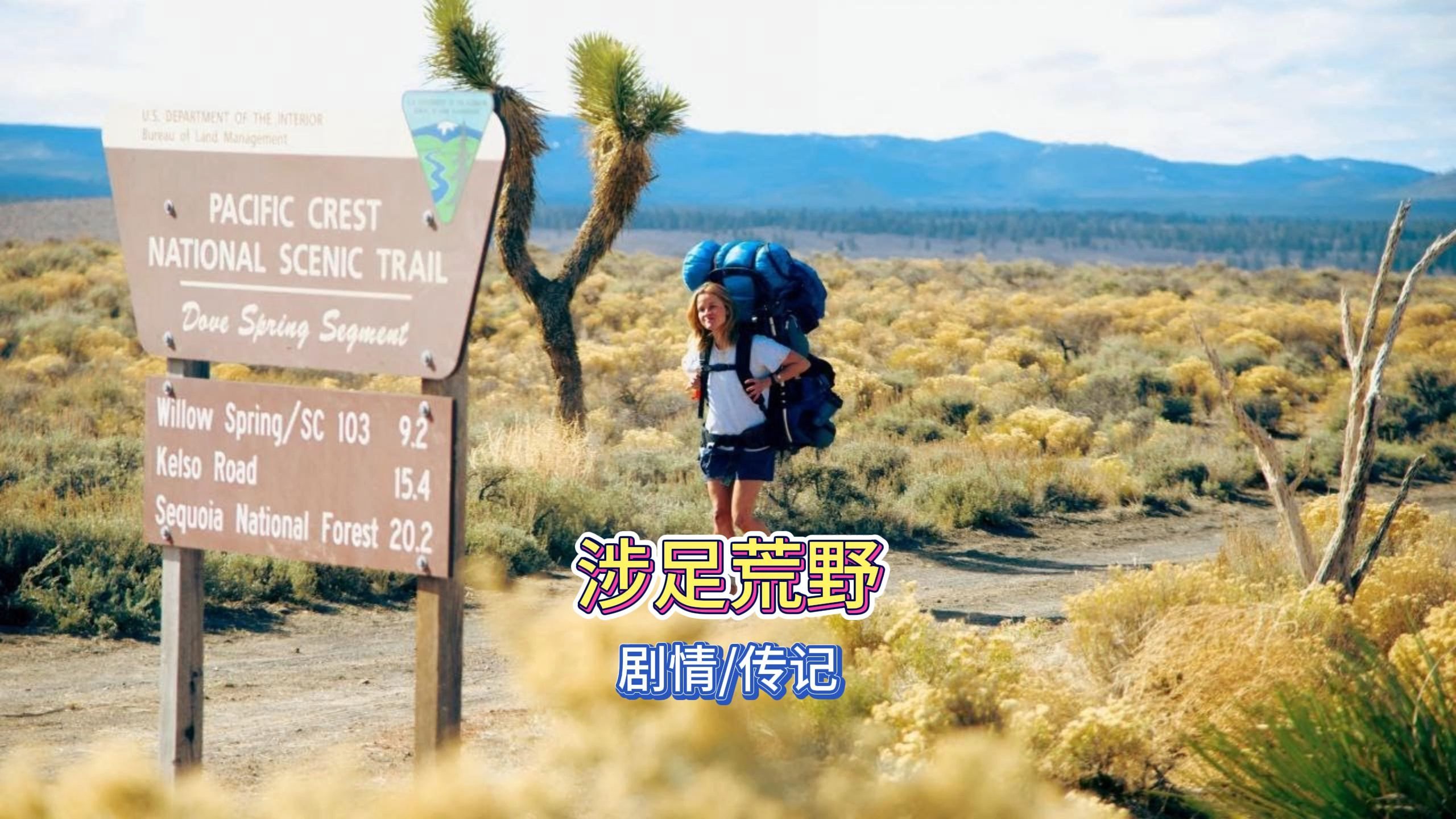 《涉足荒野》剧情传记电影,一段旅程开启一个自我救赎的过程