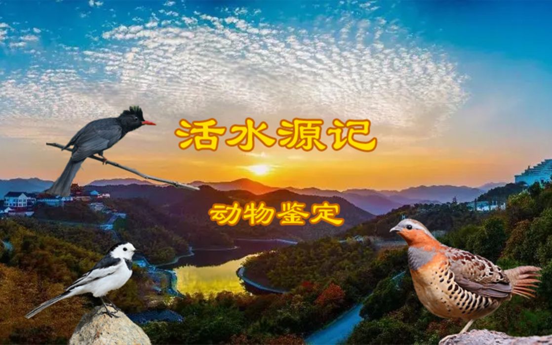 【古籍生物鉴定】《活水源记》动物鉴定哔哩哔哩bilibili