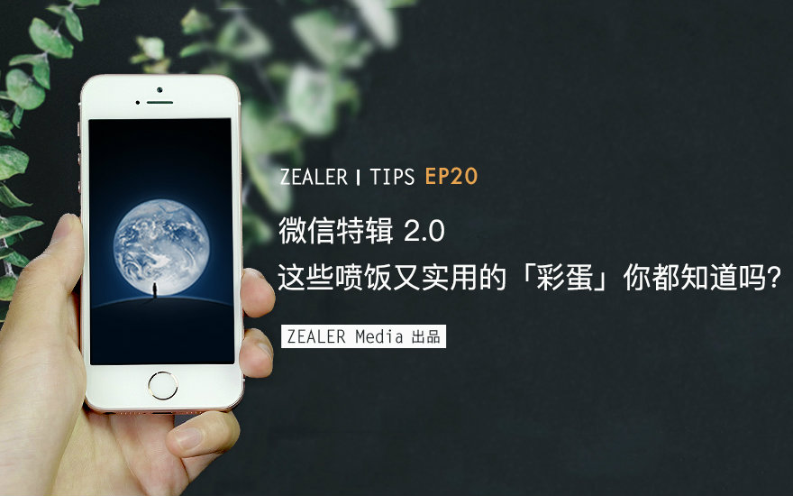 「ZEALER Tips」微信特辑2.0 这些喷饭又实用的「彩蛋」你都知道吗?哔哩哔哩bilibili