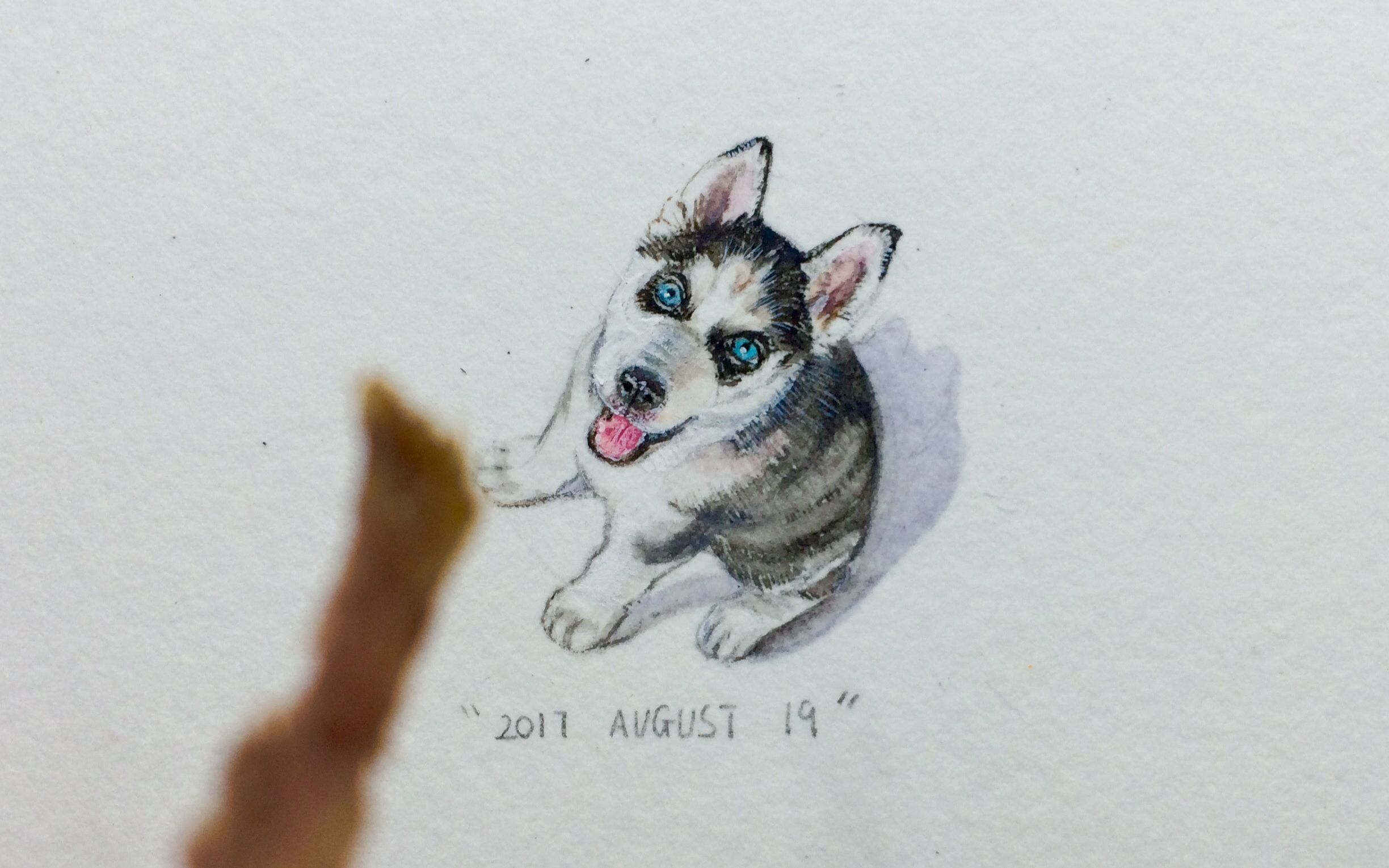 【腾鸾阁】微型水彩立体画【哈士奇】