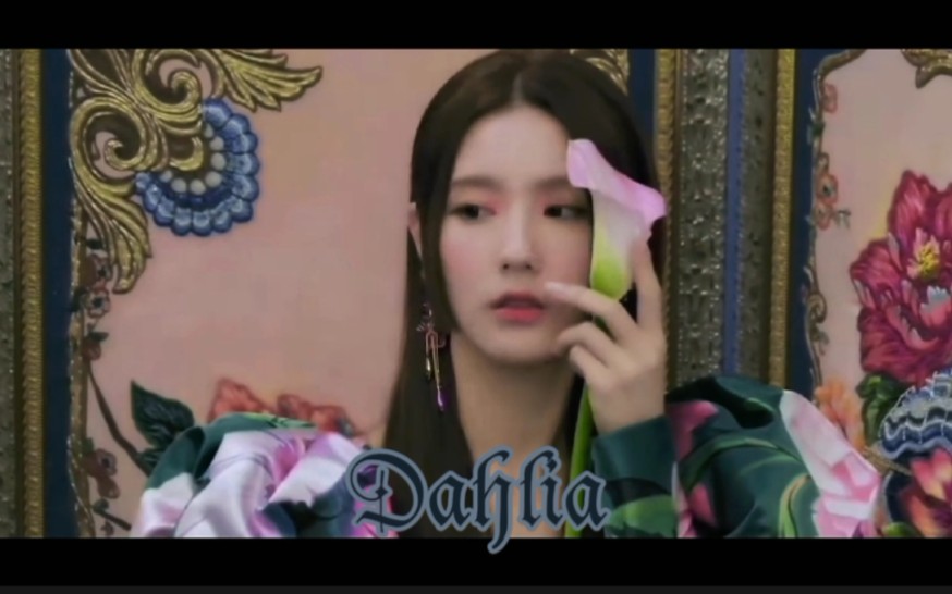 永远的大丽花 (G)IDLE《Dahlia》FMV 中韩字幕哔哩哔哩bilibili