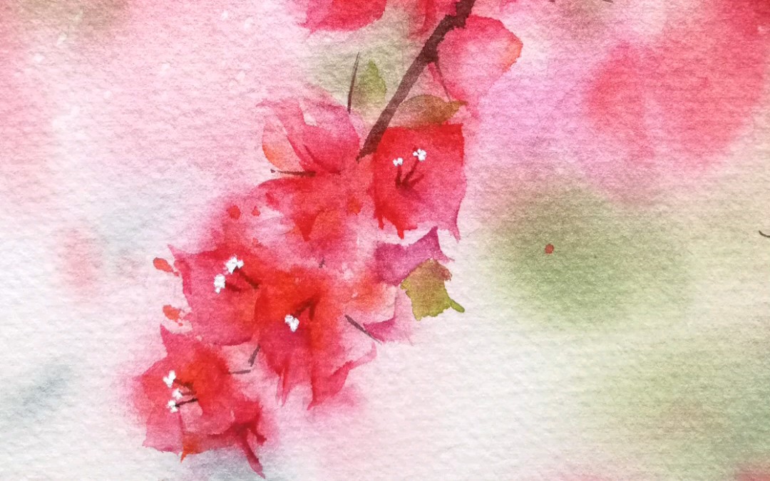 三角梅水彩作品