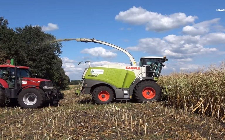claas克拉斯jaguar940自走式青贮饲料收割机收割视频