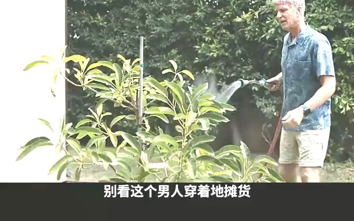 [图]美国考场最大的舞弊案，牵扯范围之广前所未见！#买进名校 #真实事件 #纪录片