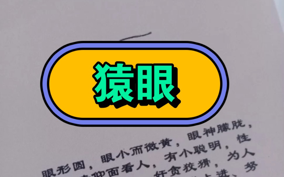 猿眼的意义是什么?