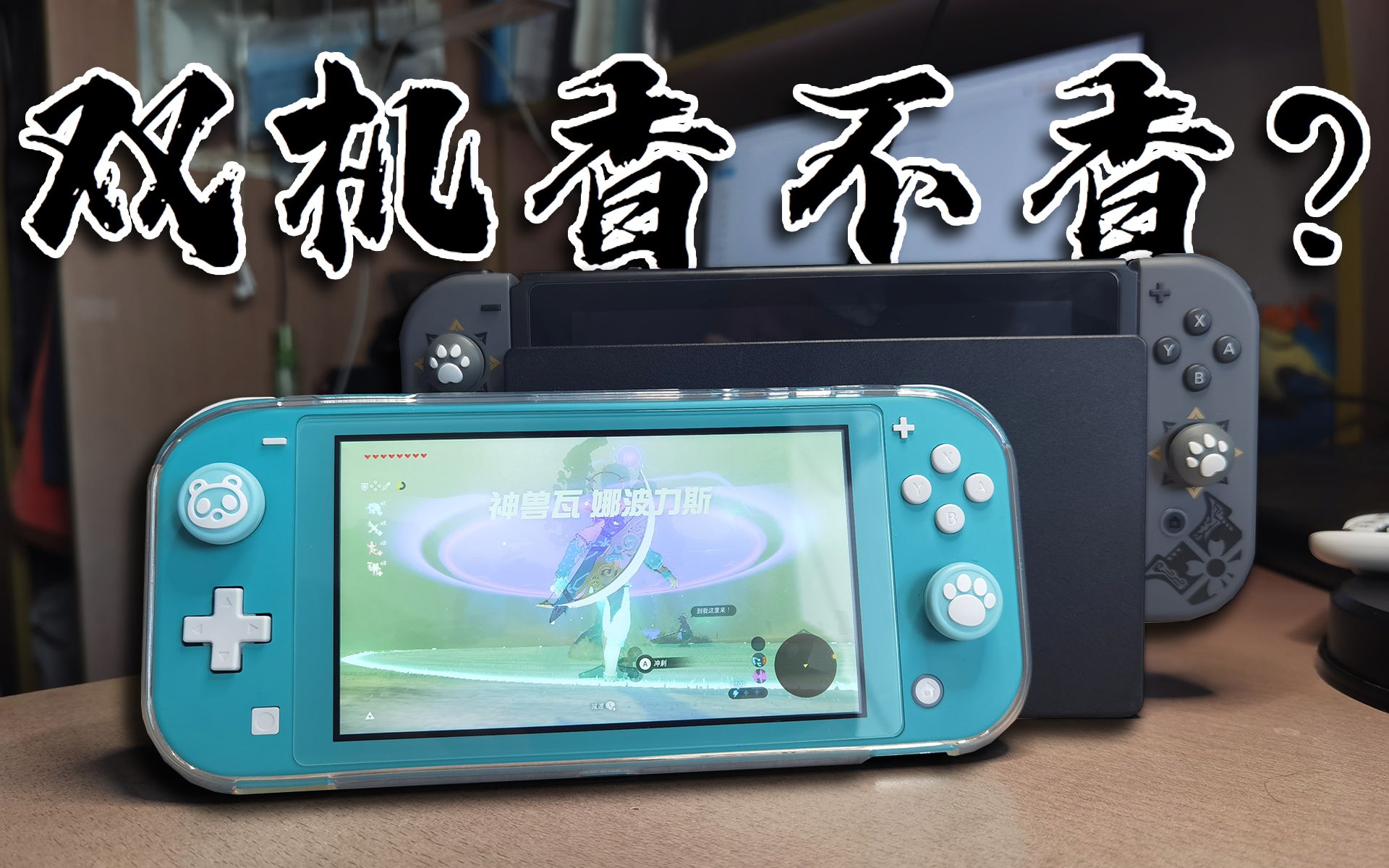 [图]【博van】Switch+Lite，双持NS的体验如何？双机党的自我修养……