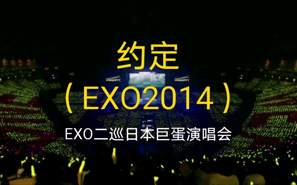 【约定61exo2014】exo二巡日本巨蛋演唱会《约定》现场