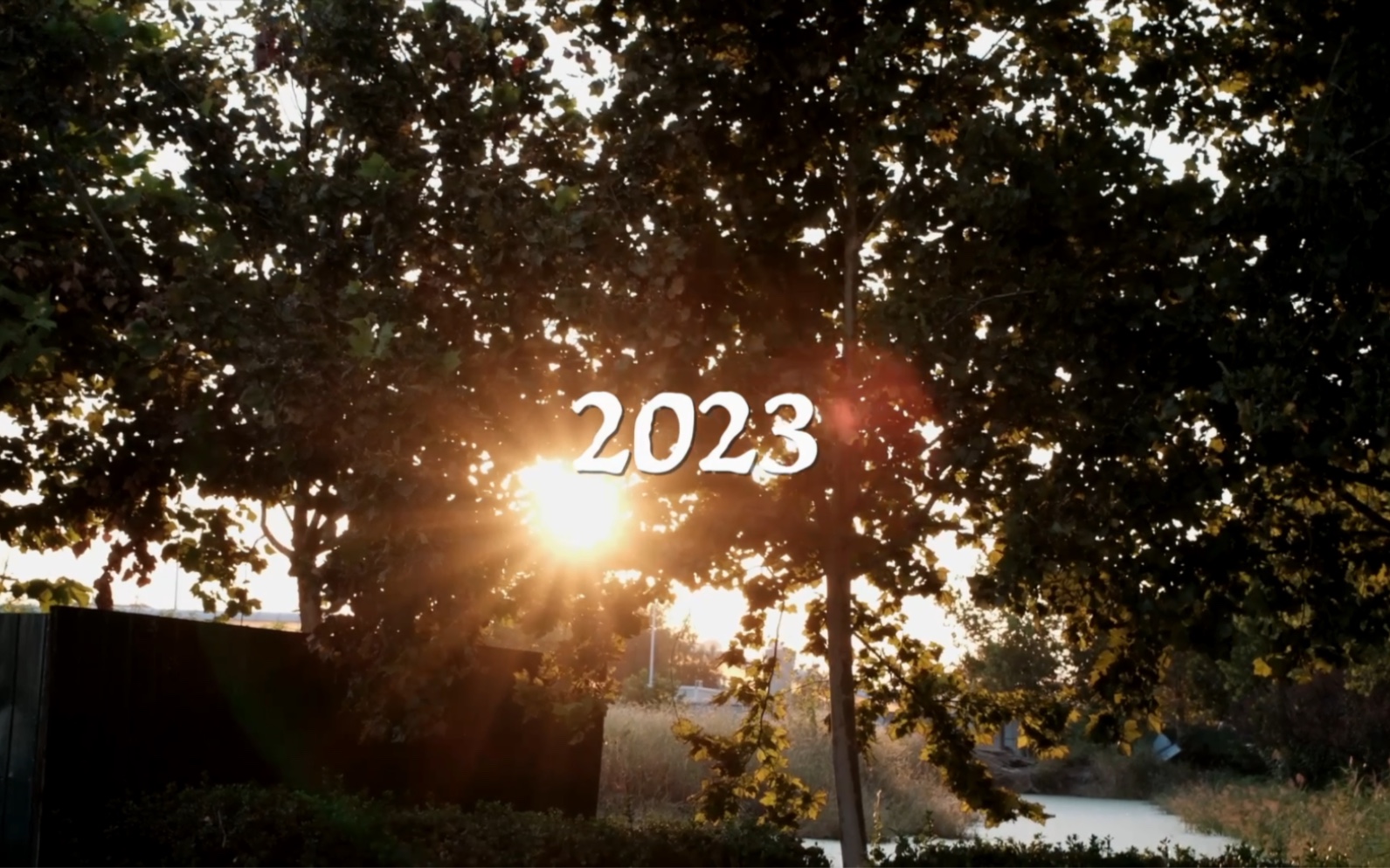 [图]2023年度总结｜我有认真活这365天