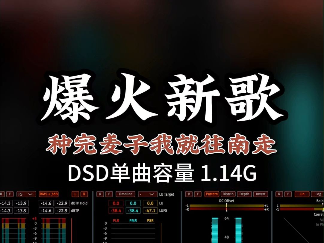 网络爆火,新歌热歌,《种完了麦子我就往南走》DSD完整版1.14G,百万调音师专业录音棚制作,顶级hifi无损音质哔哩哔哩bilibili